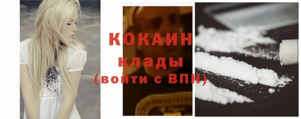 твердый Алексин