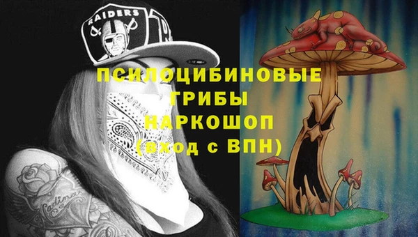 дурь Алексеевка
