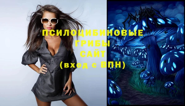 дурь Алексеевка