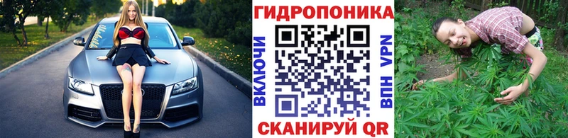 kraken как зайти цена Ковров Марихуана планчик